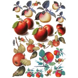 Декупажная карта(лазерн.печать) 29,5х42 "Яблоки" Декупажная карта(лазерн.печать) 29,5х42 "Яблоки"