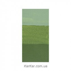 Фарба акрилова AMSTERDAM, (622) Оливковий зелений темний, 20 мл, Royal Talens