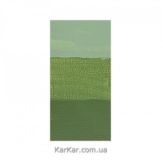 Фарба акрилова AMSTERDAM, (622) Оливковий зелений темний, 20 мл, Royal Talens