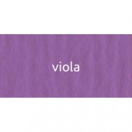 04 viola 220г A3 Elle Erre картон кольоровий