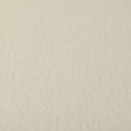 Картон Majestik milk 290г 72*102