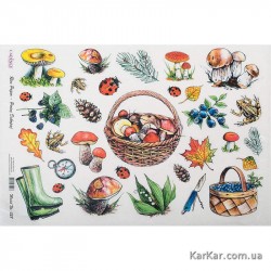 Cadence декупажні карти на рисовому папері Rice Paper Decoupage, А4, №28 Cadence декупажні карти на рисовому папері Rice Paper Decoupage, А4, №28