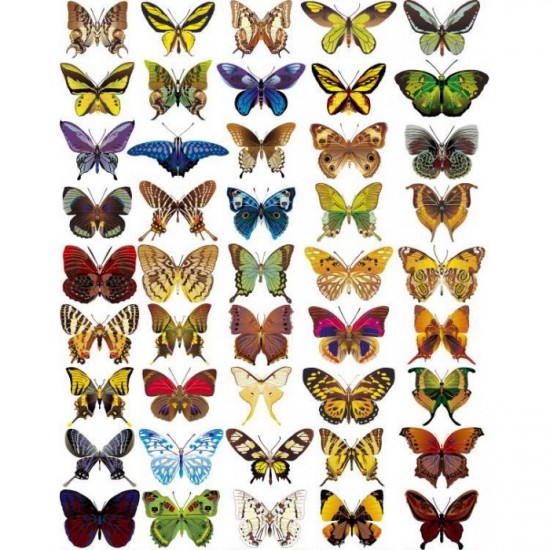Оверлей «Бабочки» 20*30 см, ФД