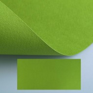 Папір для пастелі Tiziano B2 (50*70см), №43 pistacchio, 160г/м2, фісташкови, середнє зерно, Fabriano