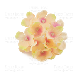 Флоксы персиковые