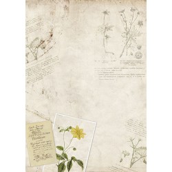 Декупажная карта #0055, 21x30см, Фабрика Декору Декупажная карта #0055, 21x30см, Фабрика Декору