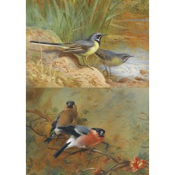 Декупажная карта 0062, 21x30см, Фабрика Декору