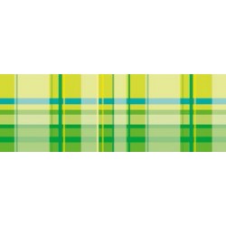 RR Картон дизайнерский двусторонний  "Vichy" 300г 20х30см  мотив КЛЕТКА ЗЕЛЕНЫЙ RR Картон дизайнерский двусторонний  "Vichy" 300г 20х30см  мотив КЛЕТКА ЗЕЛЕНЫЙ