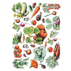 Cadence декупажні карти на рисовому папері Rice Paper Decoupage, А4, №25 Cadence декупажні карти на рисовому папері Rice Paper Decoupage, А4, №25