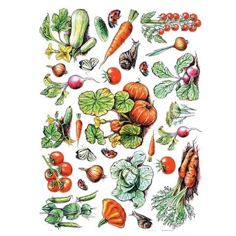 Cadence декупажні карти на рисовому папері Rice Paper Decoupage, А4, №25