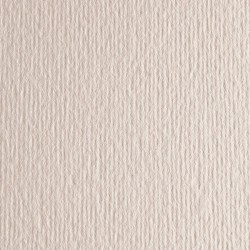 Картон кольоровий для пастелі Elle Erre 31 avorio 70х100 см 220 г/м.кв. Fabriano Італія