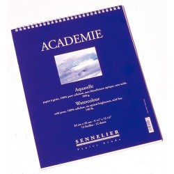 Набір паперу для акварелі Sennelier, 12 аркушів, 37х46 см (N138450)