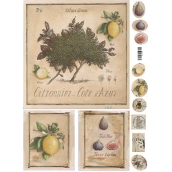 Декупажная карта(лазерн.печать) 29,5х42 "Прованс Лимоны и инжир" Декупажная карта(лазерн.печать) 29,5х42 "Прованс Лимоны и инжир"