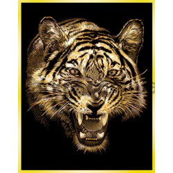 Фольга для гравюри "Золото", А5 (229х152мм), GFB2, ESSDEE