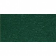 Папір для дизайну, Fotokarton A4 (21*29.7см), №58 Хвойно-зелений, 300г\м2, Folia