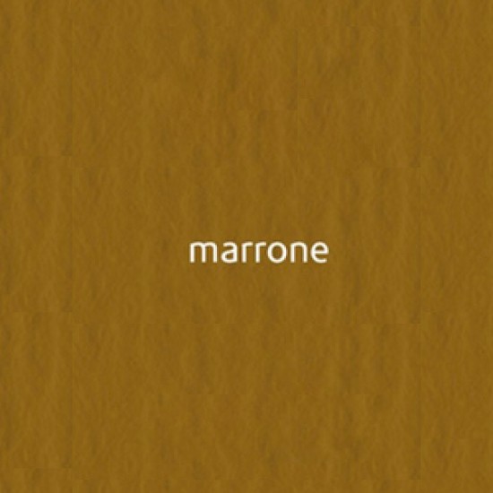 06 marrone 220г А3 Elle Erre картон кольоровий