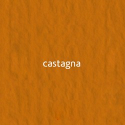 07 castagna 360г 50х70 Murillo картон кольоровий для пастелі 07 castagna 360г 50х70 Murillo картон кольоровий для пастелі