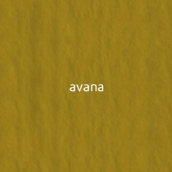 13 avana 360г 50х70 Murillo картон кольоровий для пастелі 13 avana 360г 50х70 Murillo картон кольоровий для пастелі