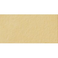 Папір для дизайну Tintedpaper №10 коричнево-жовтий, А4 (21*29,7см), 130г/м, без текстури,  Folia