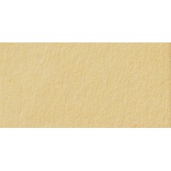 Папір для дизайну Tintedpaper №10 коричнево-жовтий, А4 (21*29,7см), 130г/м, без текстури,  Folia