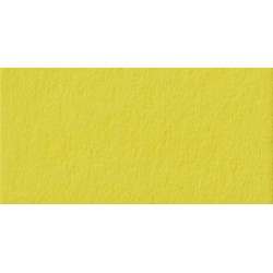 Папір для дизайну Tintedpaper №12 лимонний, А4 (21*29,7см), 130г/м, без текстури, Folia