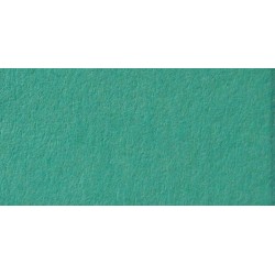 Папір для дизайну Tintedpaper №25 зелено-м'ятний, А4 (21*29,7см), 130г/м, без текстури, Folia