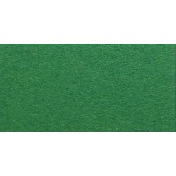 Папір для дизайну Tintedpaper №53 трав'яний, А4 (21*29,7см), 130г/м, без текстури, Folia