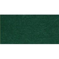 Папір для дизайну Tintedpaper №58 хвойно-зелений, А4 (21*29,7см), 130г/м, без текстури, Folia Папір для дизайну Tintedpaper №58 хвойно-зелений, А4 (21*29,7см), 130г/м, без текстури, Folia