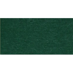 Папір для дизайну Tintedpaper №58 хвойно-зелений, А4 (21*29,7см), 130г/м, без текстури, Folia