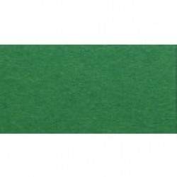 Папір для дизайну Fotokarton B2 (50*70см) №53 Зелений мох 300г/м2, Folia