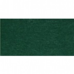 Папір для дизайну Fotokarton B2 (50*70см) №58 Хвойно-зелений, 300г/м2, Folia