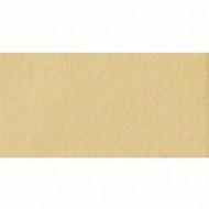 Папір для дизайну Fotokarton B2 (50*70см) №10 Жовто-коричневий, 300г/м2, Folia