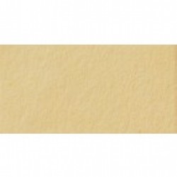 Папір для дизайну Fotokarton B2 (50*70см) №10 Жовто-коричневий, 300г/м2, Folia