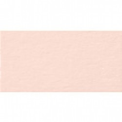 Папір для дизайну Tintedpaper №43 тілесний, А4, (21*29,7см), 130г/м, без текстури, Folia