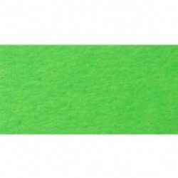 Папір для дизайну Fotokarton B2 (50*70см) №51 Світло-зелений, 300г/м2, Folia