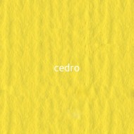 25 cedro 220г A3 Elle Erre картон кольоровий