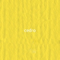 25 cedro 220г A3 Elle Erre картон кольоровий 25 cedro 220г A3 Elle Erre картон кольоровий