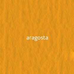 26 aragosta 220г A3 Elle Erre картон кольоровий 26 aragosta 220г A3 Elle Erre картон кольоровий