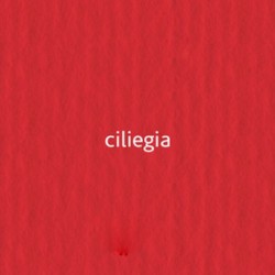 27 ciligia 220г A3 Elle Erre картон кольоровий 27 ciligia 220г A3 Elle Erre картон кольоровий