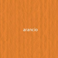 08 arancico 220г A3 Elle Erre картон кольоровий