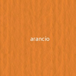 08 arancico 220г A3 Elle Erre картон кольоровий 08 arancico 220г A3 Elle Erre картон кольоровий