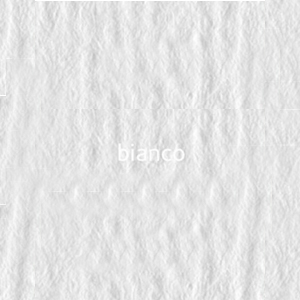 00 bianco 220г A3 Elle Erre картон кольоровий