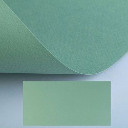 Папір для пастелі Tiziano A3 (29,7*42см), №13 salvia, 160г/м2, сіро-зелений, середнє зерно, Fabriano