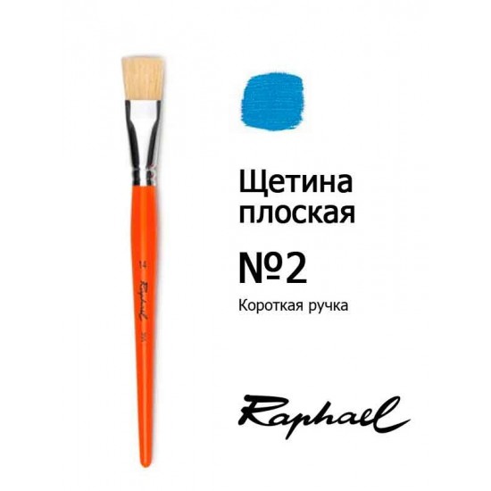 Raphael Пензель щетина Fun, серія 355, к.р. плоский №2 Щетина плоская Raphaël Fun, №2 (Франция)