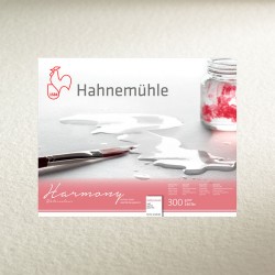 Hahnemuhle папір акварельний Harmony CP 50*65см, 300г/м2, середнє зерно Hahnemuhle папір акварельний Harmony CP 50*65см, 300г/м2, середнє зерно