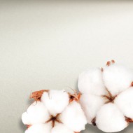 Hahnemuhle папір акварельний The Collection Rough 56*76см, 300г/м2, крупне зерно, 100% бавовна