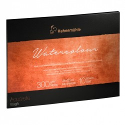Hahnemuhle блок для акварелі Collection, 30*40 см, 300г/м, 10арк., крупне зерно, Rough Hahnemuhle блок для акварелі Collection, 30*40 см, 300г/м, 10арк., крупне зерно, Rough