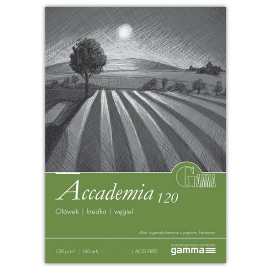 GAMMA Альбом для рисунка на спіралі Accademia (120), 21*29,7 см, 120г/м, 100 л.