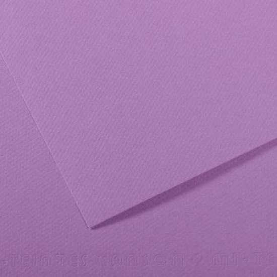 Canson папір для пастелі Mi-Teintes 160 гр, 50x65 см, №113 Blueberry (Чорничний)