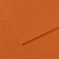 Canson папір для пастелі Mi-Teintes 160 гр, 50x65 см, 504 Amber (Янтарний)
